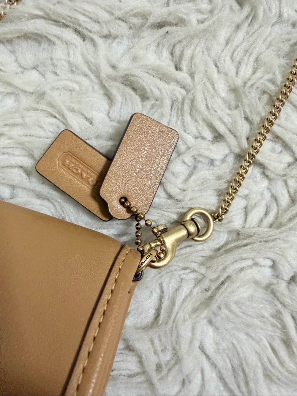 Coach Micro Dinky Bag